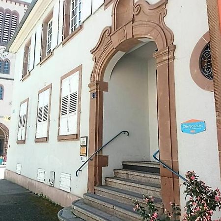Un Petit Nid Atypique Au Coeur De Munster Appartement Munster  Buitenkant foto